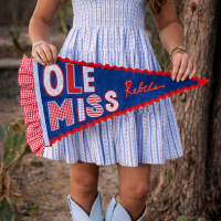Custom College Pennant Felt Flag Graduation Gift Dorm Decor