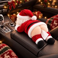 Cheeky Santa Tissue Holder